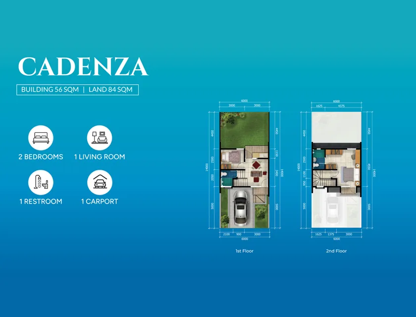 Amadeus Tipe Cadenza 2